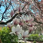Rottgarten Apartmán *