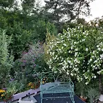 Rottgarten * Gelnhausen