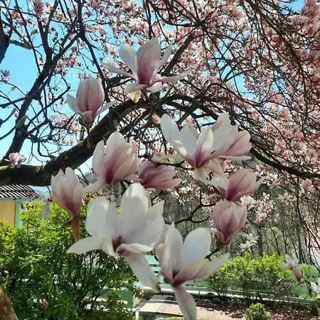Rottgarten Apartmán *