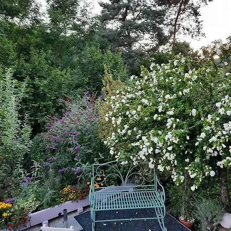 Rottgarten * Gelnhausen