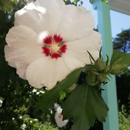 Lägenhet Rottgarten