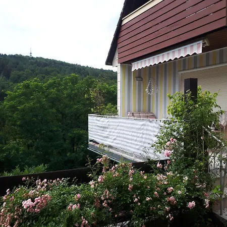 Lägenhet Rottgarten Gelnhausen