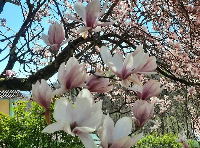 Rottgarten Apartman *