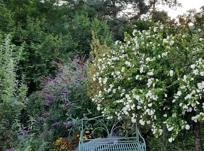 Rottgarten * Gelnhausen